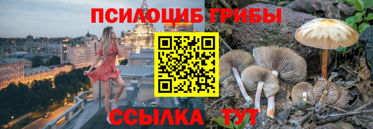 Псилоцибиновые грибы Cubensis  Галлюциногенные грибы Psilocybe  Биробиджан  Вход с VPN 