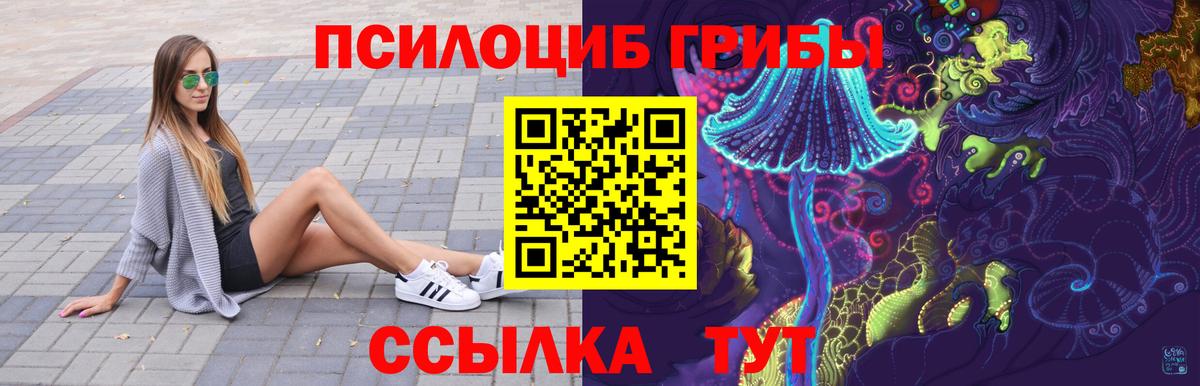 Псилоцибиновые грибы Cubensis Биробиджан